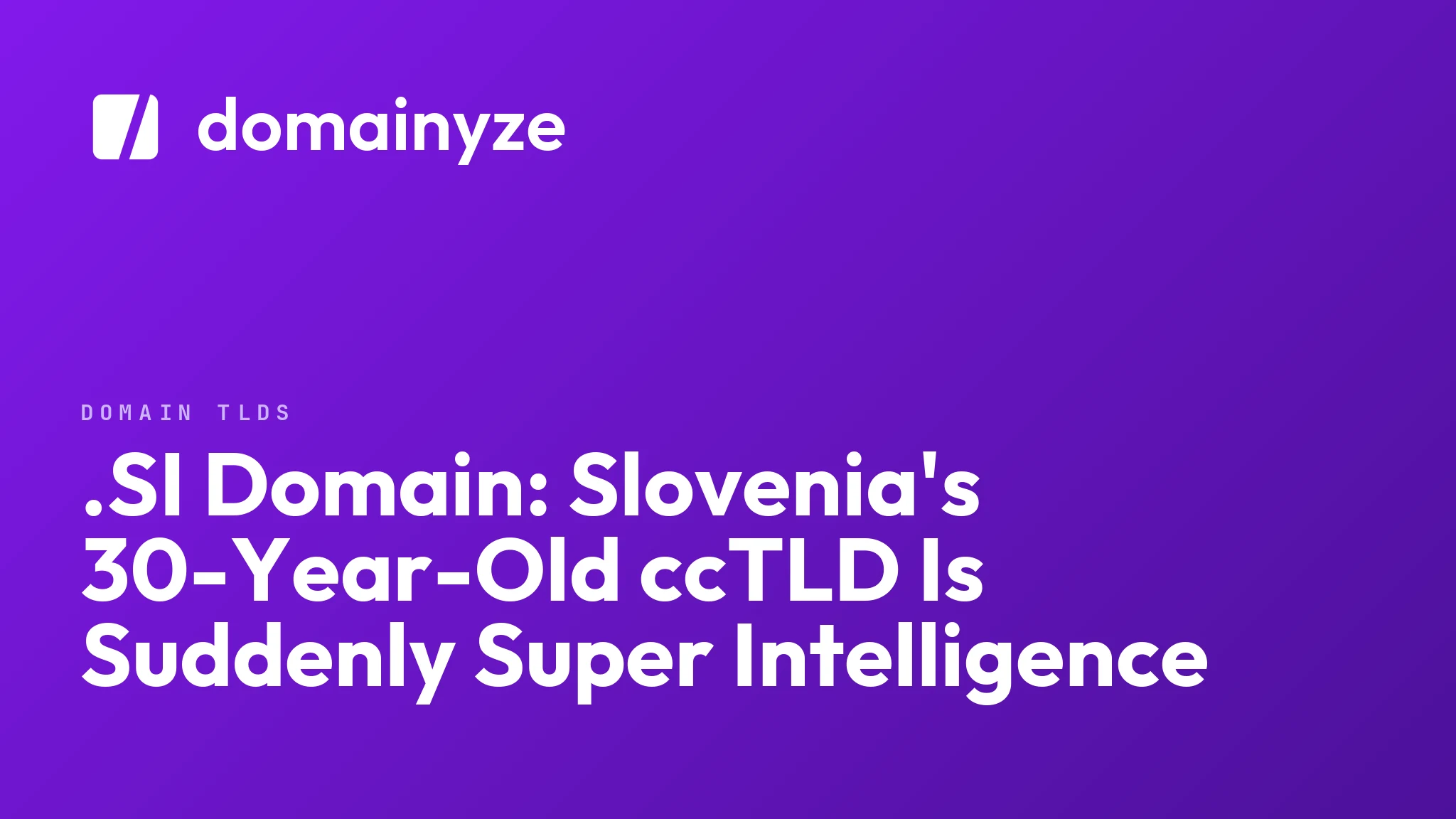 .SI Domain: Slovenia's 30-Year-Old ccTLD Is Suddenly Super Intelligence